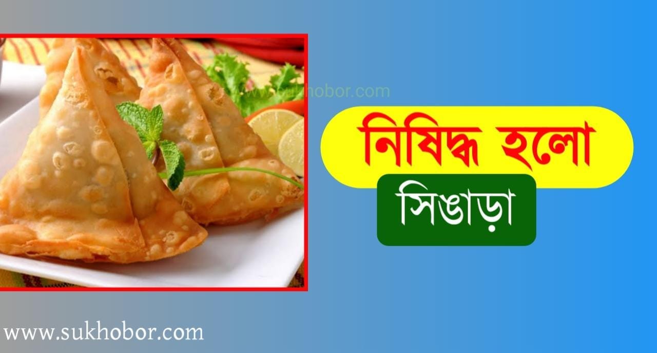 fast food samosa