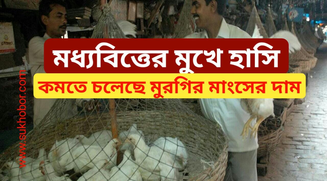 Today Chicken Price in West Bengal