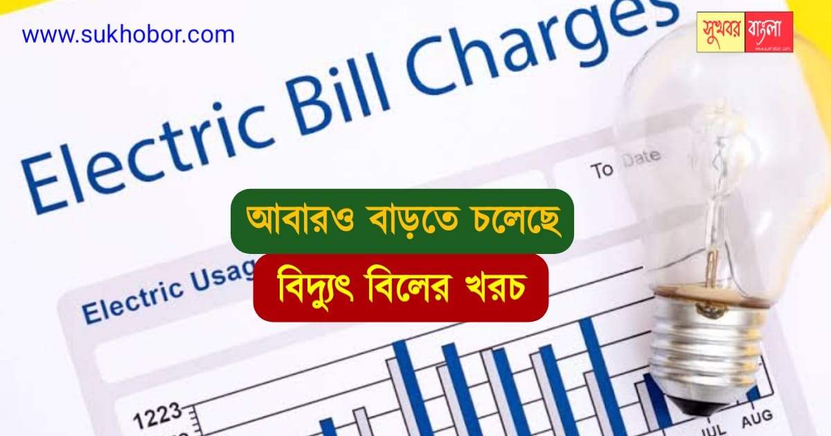 Electricity Unit Charge