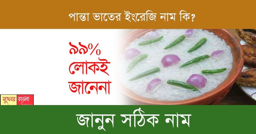 Panta Bhat(পান্তা ভাত)