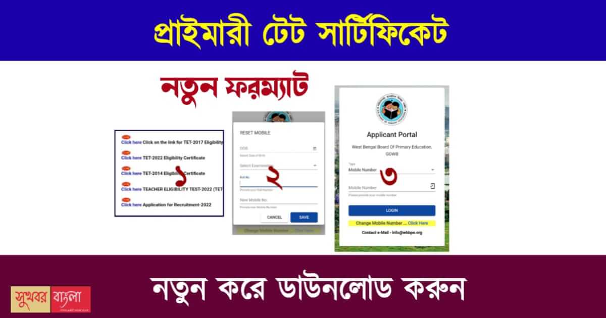 How to download TET Certificate (টেট সার্টিফিকেট)