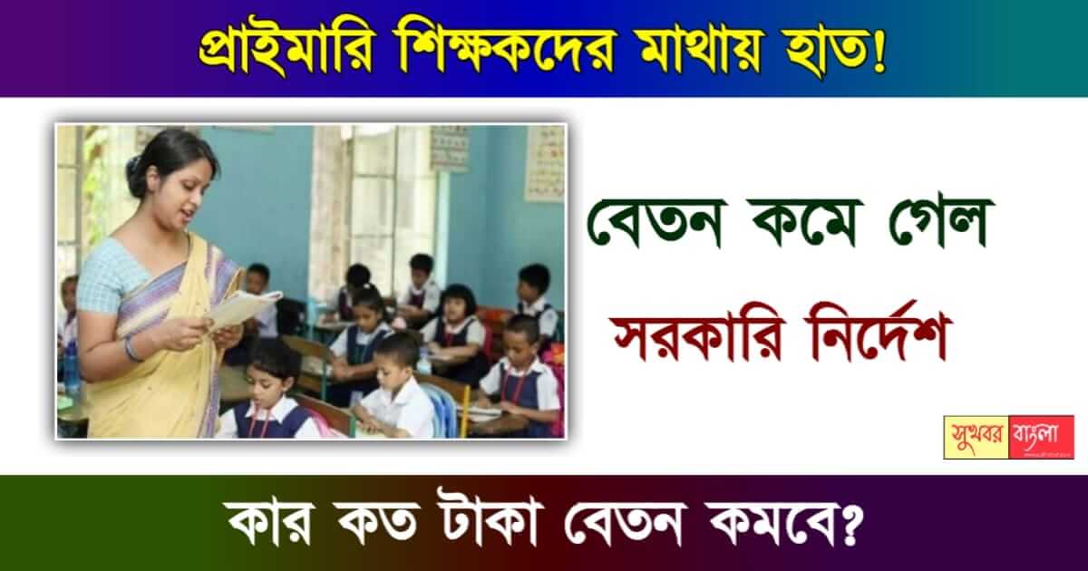 Primary Teachers - প্রাথমিক শিক্ষক