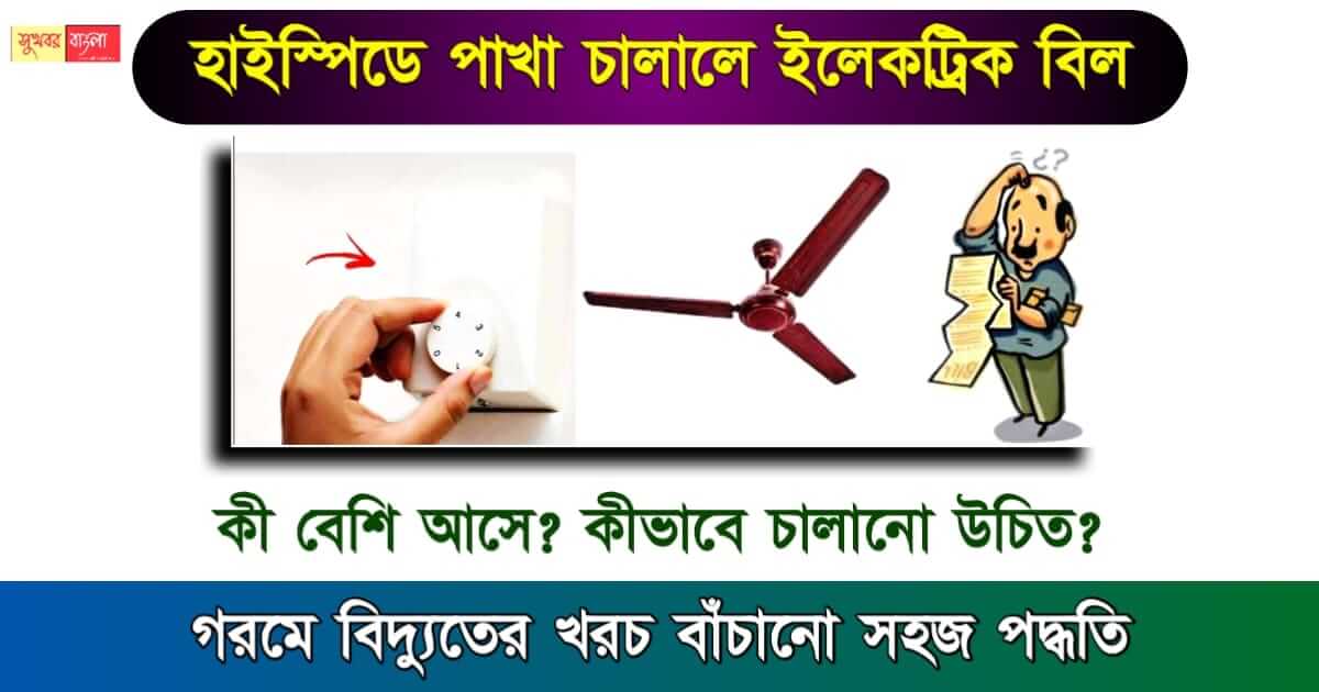 Ceiling Fan - সিলিং ফ্যান