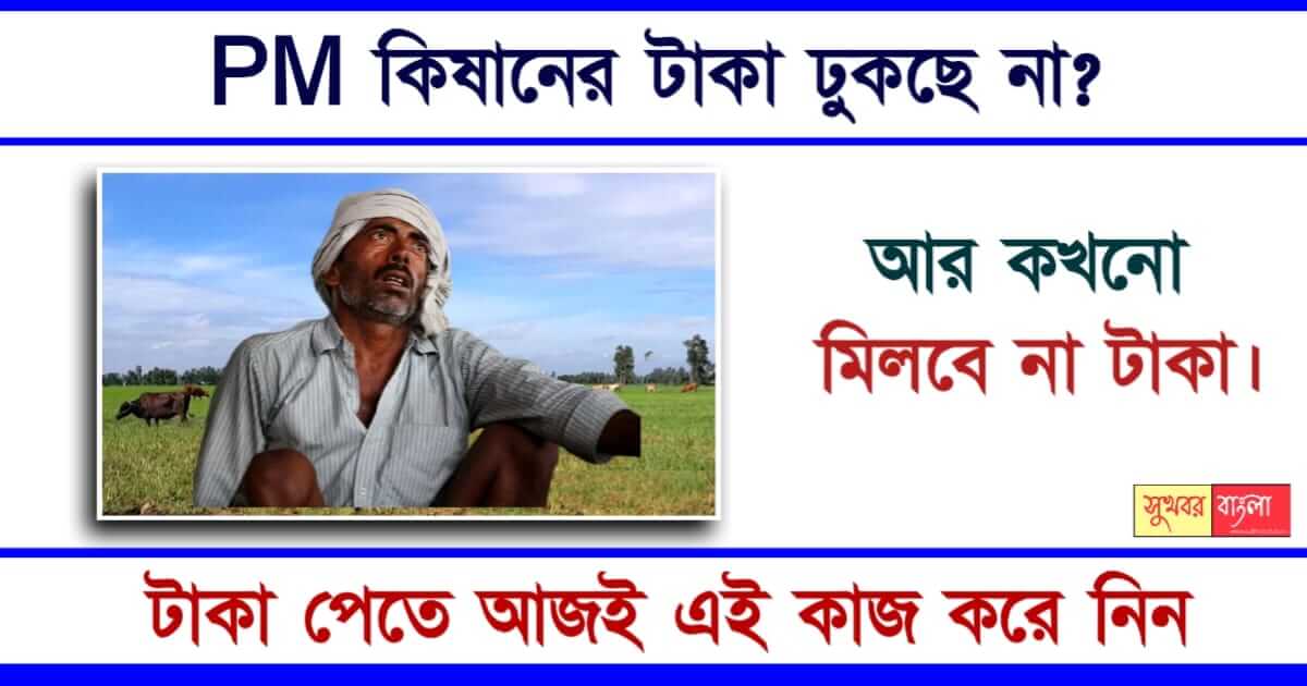 PM Kisan - পি এম কিষাণ